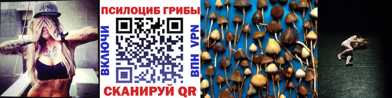 Галлюциногенные грибы MAGIC MUSHROOMS  что такое наркотик  Апатиты 
